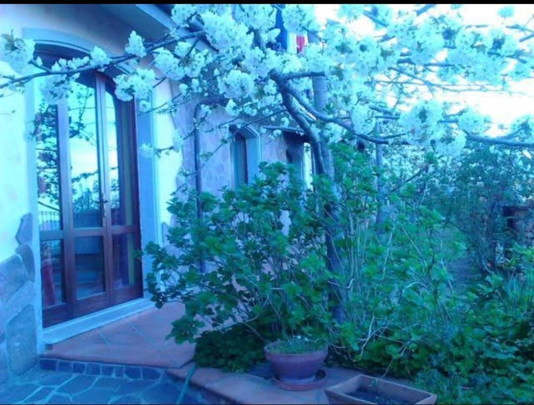 Bed and Breakfast Monti E Mare à Lanusei Extérieur photo